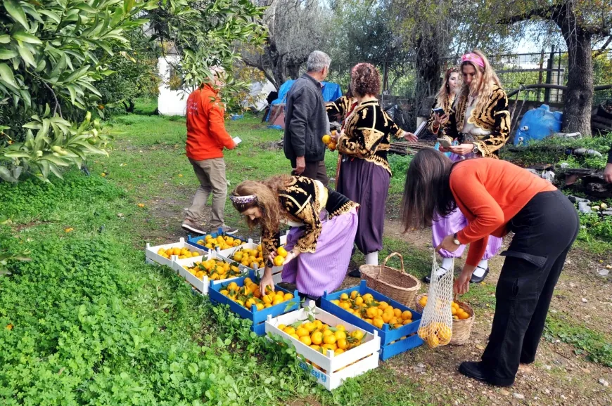 Geleneksel Bodrum Mandalin Festivali Başlıyor