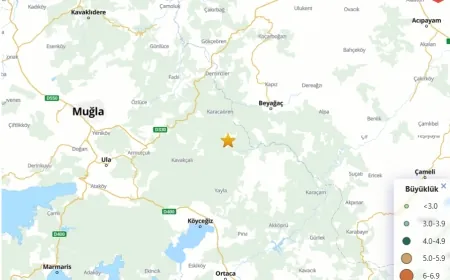 Muğla 4.0 şiddetinde deprem ile sarsıldı