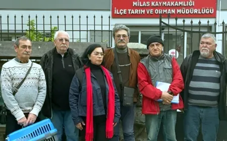 İkizköylüler Zeytinliklere dadanan Limak-İçtaş’ın peşini bırakmıyor “Zeytin tarlalarının korunmasını” istediler