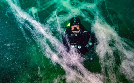 Marmara’dan sonra Ege Denizi’de müsilaj tehtidi altında