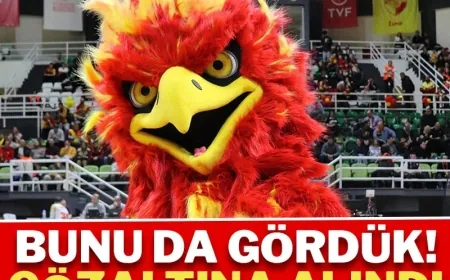 Hakemi dövmeye kalkan maskot, gözaltına alındı