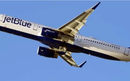 Uçağın iniş takımlarında iki ceset bulundu