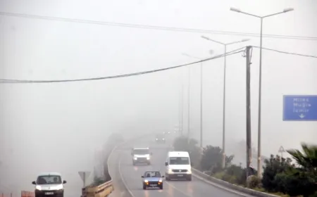 Bodrum güne sis ile uyandı, trafik aksadı