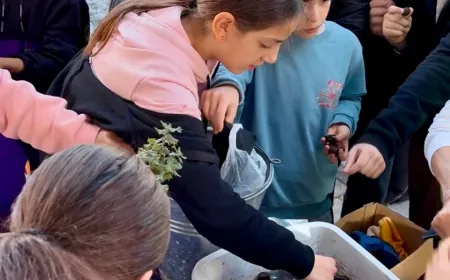 Missgibi 1 Doğa Sevgisi ….50 bin meşe palamutu öğrencilerin elinde fidan olacak