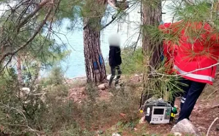 Yürüyüşe çıkanlar ağaçta asılı erkek cesedi ile karşılaştı