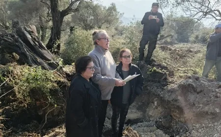 Zeytin katliamına sert tepki