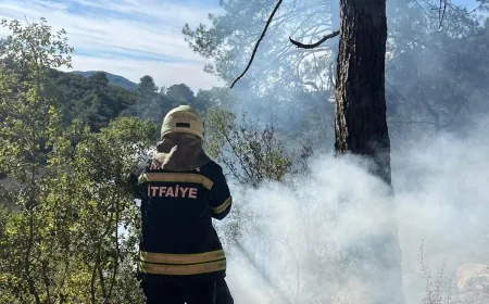 Sezonun ilk orman yangını Muğla’da çıktı