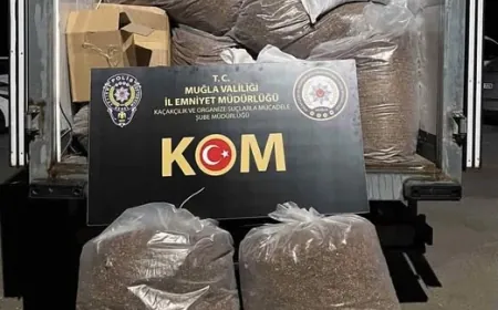  2 milyon 338 bin adet makaron ele geçirildi