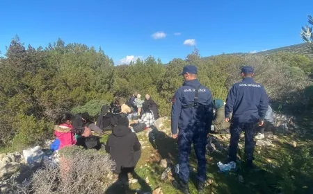 Bodrum ormanlarında göçmen operasyonu