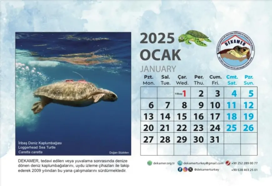 2025 Caretta Caretta takvimi yayınlandı