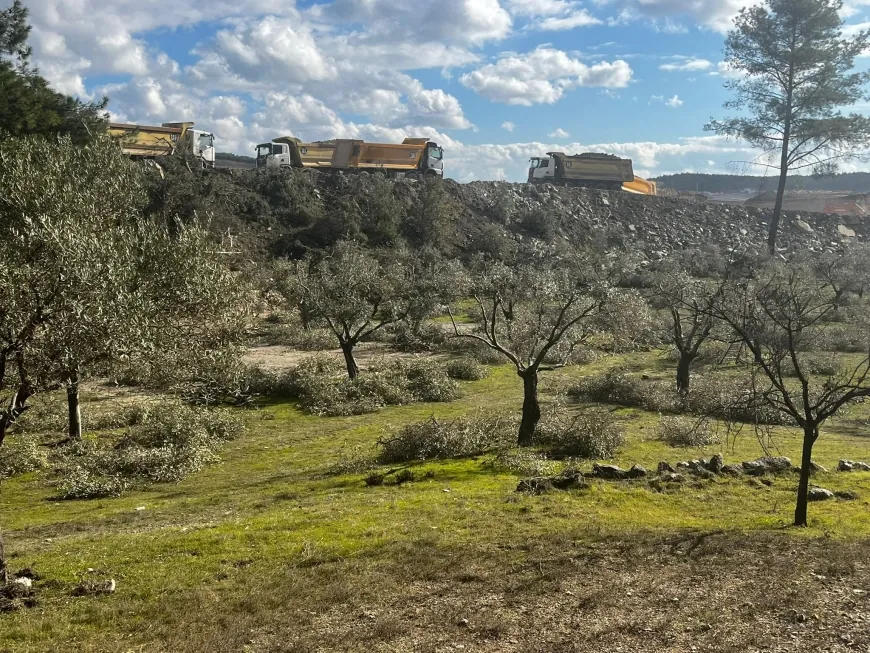 Limak Akbelen ormanını geçti zeytinliklere daldı köylü  isyan etti