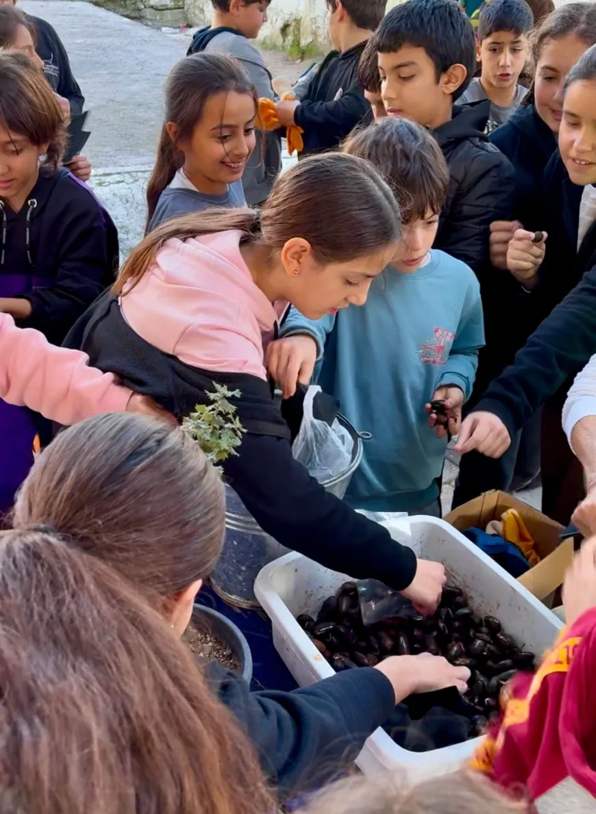 Missgibi 1 Doğa Sevgisi ….50 bin meşe palamutu öğrencilerin elinde fidan olacak