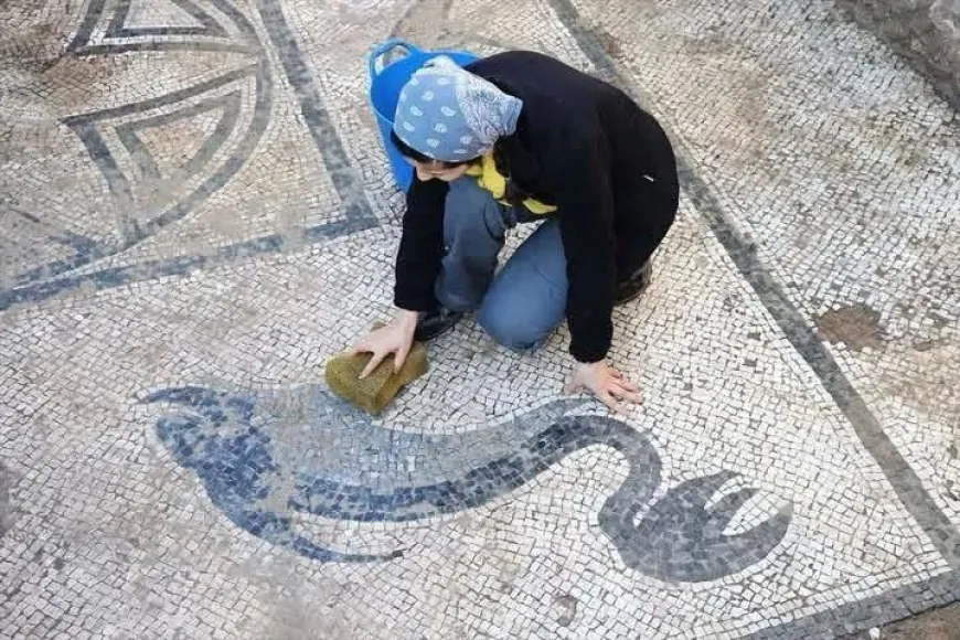 Yıllarca ahır olarak kullanılan yer Roma hamamı çıktı