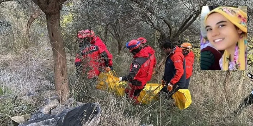 Zeytin işçisi genç kadın ağaca asılı bulundu
