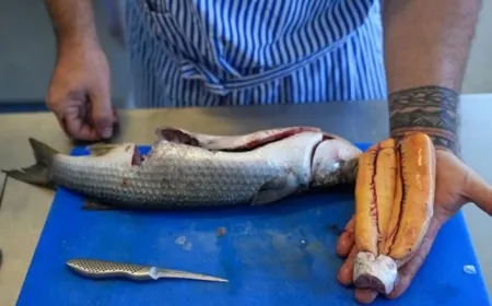 Balıkçılar yakalayıp balmumuyla saklıyor: Denizin en değerlisi, ticari getirisi yüksek