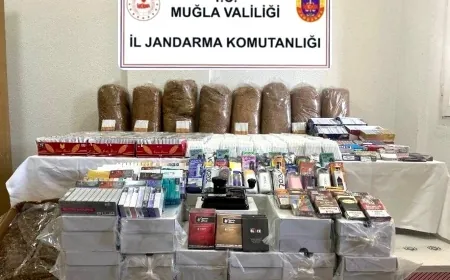 Bodrum’da işletmelere kaçak tütün baskını