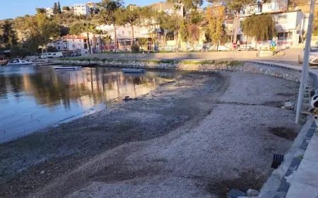 Üç körfezde derin çekilme tedirgin etti, bilim insanları körfezlerde inceleme yapmalı