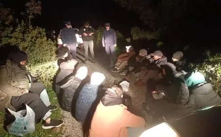 Bodrum'da beklenen bot gelmeyince ormanlık alanda mahsur kaldılar