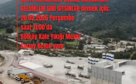 Gölköy’de yarın çevre katliamına tepki eylemi yapılacak