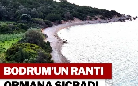 Kızılağaç’taki arsa için milletvekilleri açıklama yaptı “GÖRMEDİM-DUYMADIM-SUSTUM”