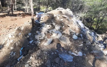 Ormana kaçak hafriyat dökene para cezası