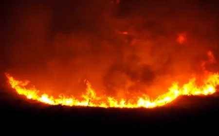 Muğla Köyceğiz'de Sazlık Alanda Yangın Çıktı