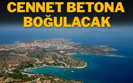 Cennet betona boğulacak