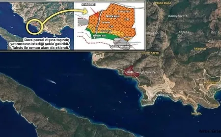 BODRUM’DAKİ ZEYTİNLİK VURGUNU TBMM GÜNDEMİNDE