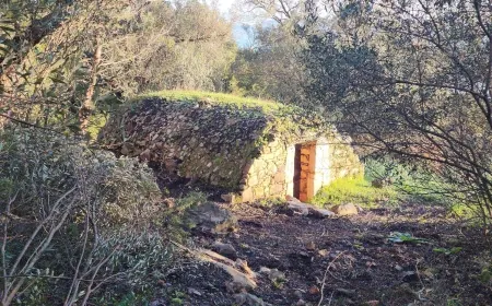 Torba'da orman temizlenince korsanların kullandığı sarnıç ortaya çıktı