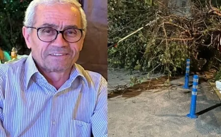 Komşusunun ağacını budarken duvardan düşen kişi yaşamını yitirdi