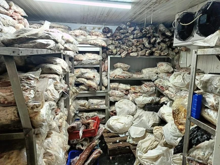 Bunları vatandaşa yedireceklerdi! Tonlarca Kaçak ve Bozuk Et ile Balık Ele Geçirildi