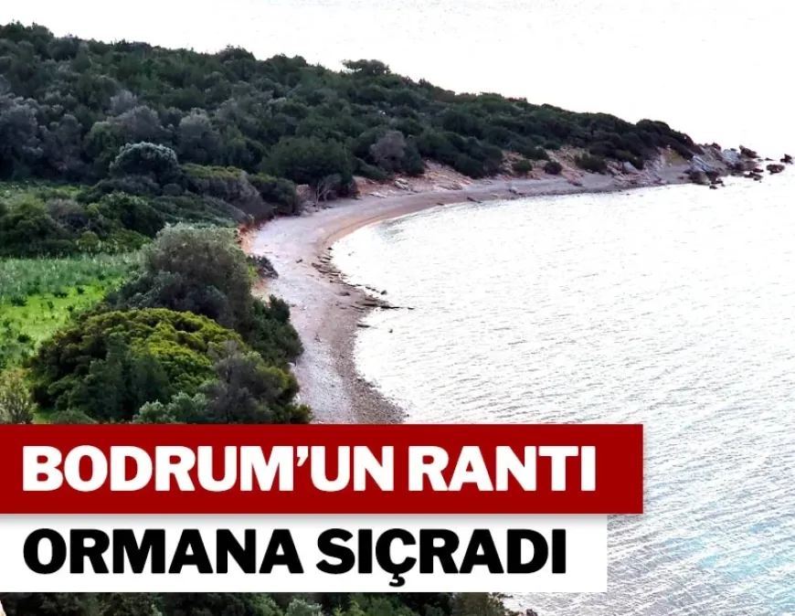 Kızılağaç’taki arsa için milletvekilleri açıklama yaptı “GÖRMEDİM-DUYMADIM-SUSTUM”