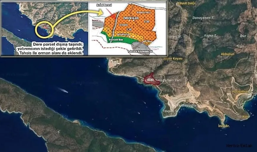 BODRUM’DAKİ ZEYTİNLİK VURGUNU TBMM GÜNDEMİNDE