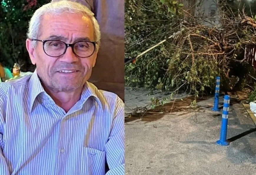Komşusunun ağacını budarken duvardan düşen kişi yaşamını yitirdi