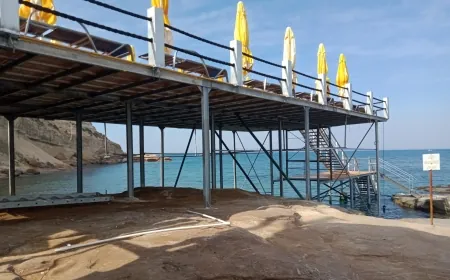 Fokların yaşam alanındaki otele ait  kaçak iskele söküldü