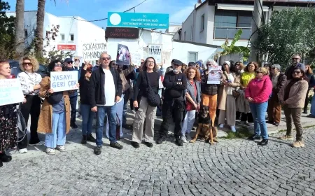 Bodrumlu hayvanseverlerden Tarım Müdürlüğü önünde katliam yasasını iptal et  eylemi