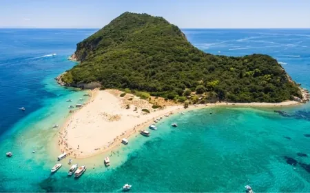 Akdeniz’de carettaların en büyük üreme ve barınma alanı olan  adada inşaat çalışması başladı, dünyaca ünlü çevre örgütleri ayağa kalktı