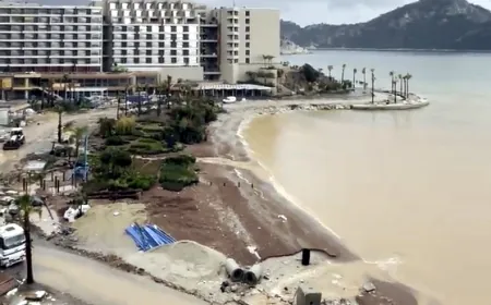 SİNPAŞ’ın çevre felaketine sert tepki gösterdiler