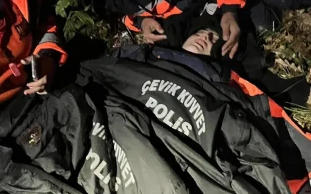 Mimar Ece Gürel'in ölüm nedeni belli oldu