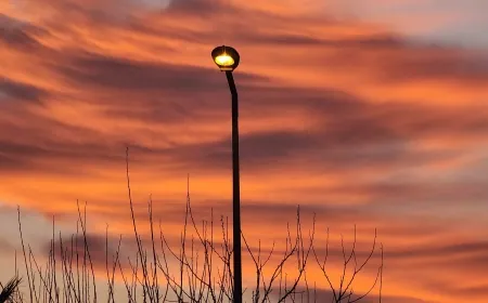 Bodrum’da tedirgin eden görüntü, Hem gerginlikle hem hayranlıkla izlediler