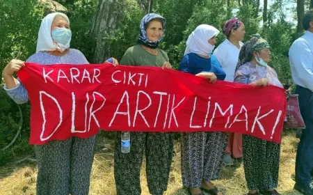 Akbelen ormanlarını yok etmişlerdi…Limak – İçtaş’a  termik santrallerde  şok mahkeme kararı