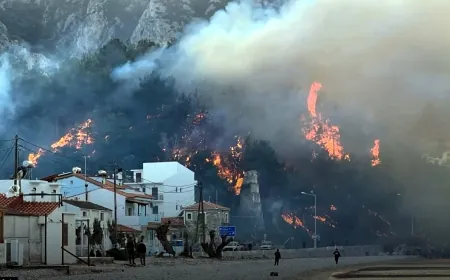 Sisam adasında büyük orman yangını bazı evler boşaltılıyor