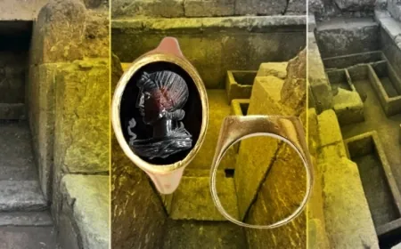 2400 yıllık antik mezardan çıkanlar arkeologları şoke etti