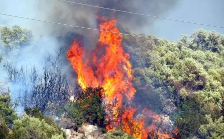 Muğla’da makilik yangını korkuttu