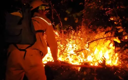 Muğla Milas’ta korkutan orman yangını