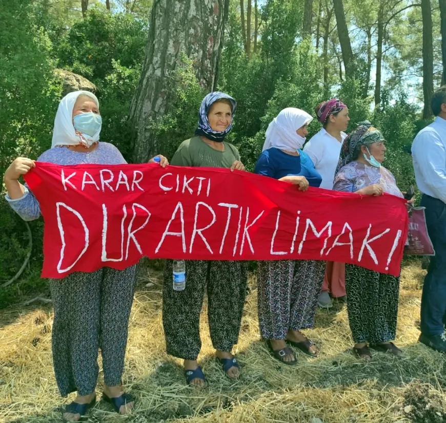 Akbelen ormanlarını yok etmişlerdi…Limak – İçtaş’a termik santrallerde şok mahkeme kararı