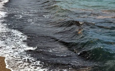 ORtakent’de deniz çöplüğe döndü böyle kirlilik görülmedi
