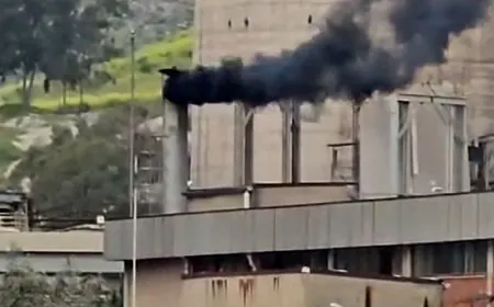 Cennet Gökova’daki santralin bacasından çıkan duman tedirginlik yarattı