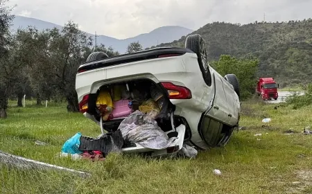 Bodrum'a geliyorlardı...Yola fırlayan köpek kazaya yol açtı 1 çocuk öldü, 5 yaralı