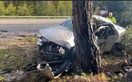 Milas Yatağan kara yolunda feci kaza 1  ölü 2 yaralı